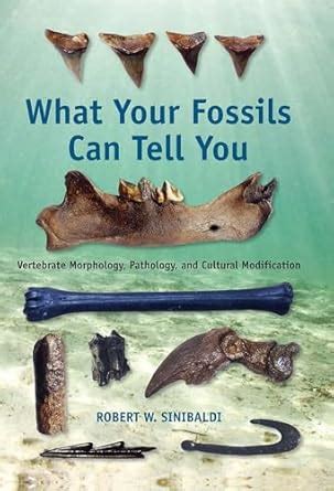 Buy What Your Fossils Can Tell You: Vertebrate Morphology, Pathology ...
