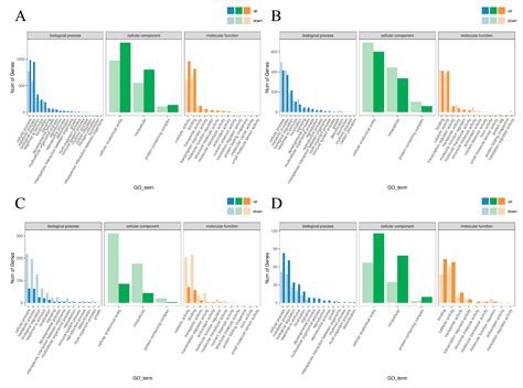 Physiological and Transcriptomic Mechanisms Underlying Vitamin C ...