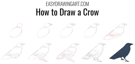 Image result for Crow Drawing Tutorial