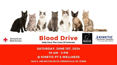 Red Cross Blood Drive with Kinetic PT & Beare Garden Animal Shelter ...