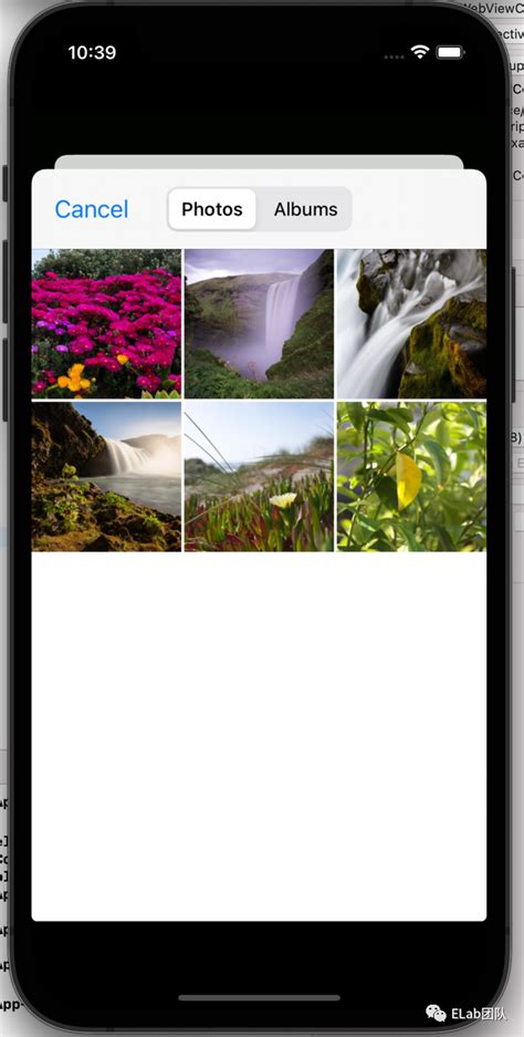 Jsbgc 的图像结果