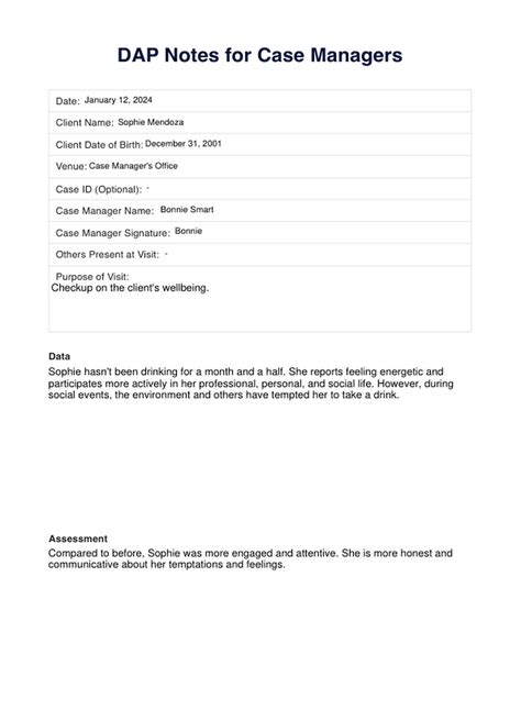 Image result for Case Management Dap Notes Example
