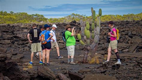 ¿Qué hacer en Isla Baltra en 2026? Guía Actualizada - Galápagos Cruceros