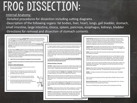 Image result for Dissecting a Frog Lab