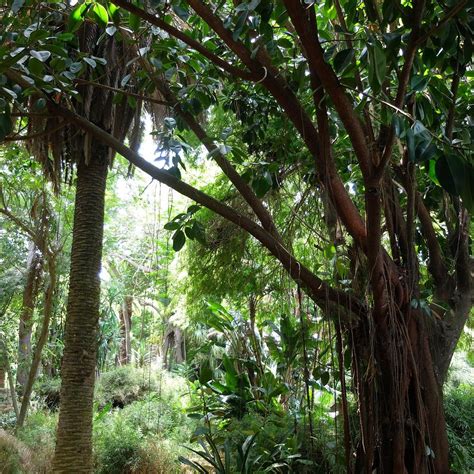 LES JARDINS EXOTIQUES DE BOUKNADEL (2025) All You Need to Know BEFORE ...