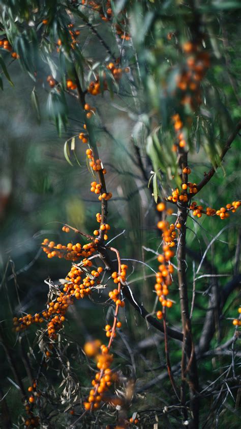 Image result for Splash Screen Image for Windows