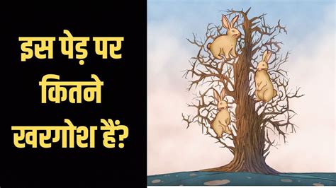इस पेड़ पर कितने खरगोश हैं? मास्टरमाइंड लोग भी नहीं दे पाए जवाब, एक बार ...