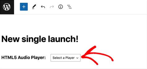 Image result for How to Add Audio Files