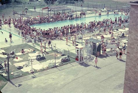 Albany Jewish Community Center Temple Israel Of Albany