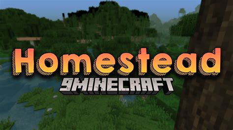 Image result for Homestead Modpack Multiplayer Server