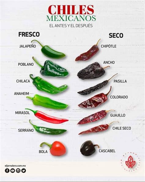 Mexican Chiles -- Before & After (Fresh & Dry) | Recetas de comida ...