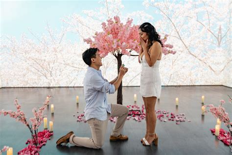 Image result for Using the Proposal Mod in Minecraft