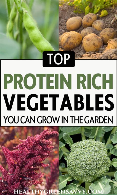 25+ High Protein Vegetables You Can Grow in Your Garden