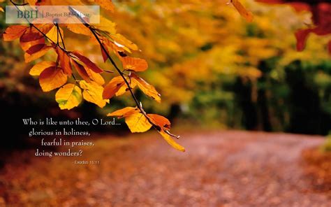 Image result for Fall Backgrounds with Scripture