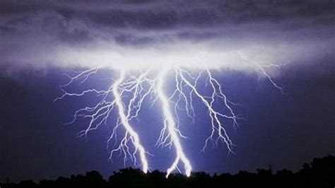 Life Science Theories 的图像结果