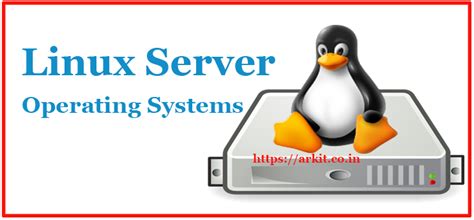 Linux Server Operating Systems Most Widely Used Run Business Apps