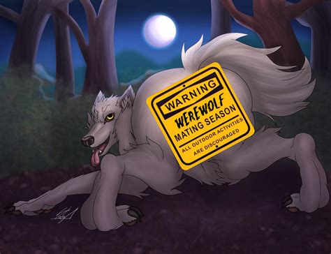 Image result for Wolves Mating Season