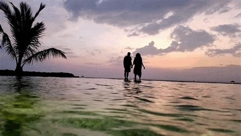 Kumarakom Lake Resort | A Luxury Kerala Retreat | Articles | Kumarakom ...