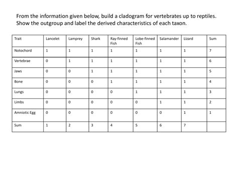 Image result for Cladogram Practice Worksheet