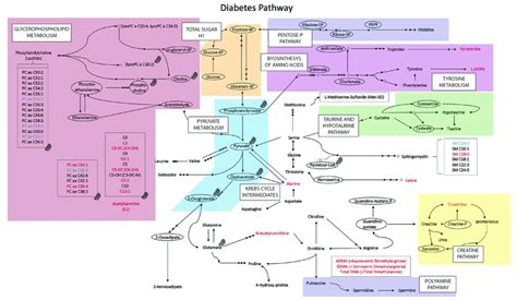 Biochemistry Process Map 的图像结果