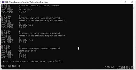 Using WinPcap 的图像结果
