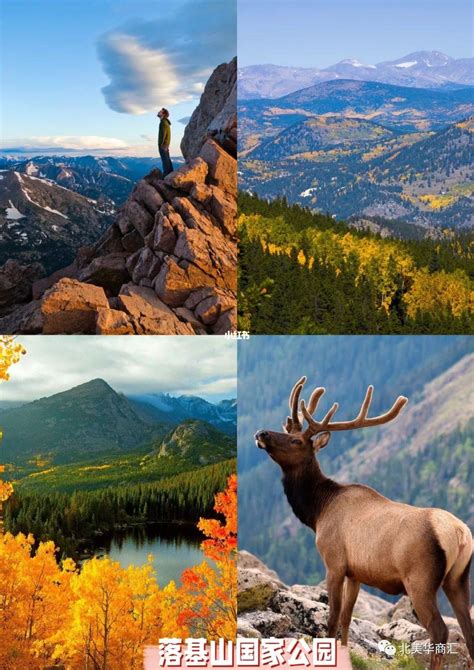 乔治 华盛顿 和 杰斐逊 国家 公园 的图像结果