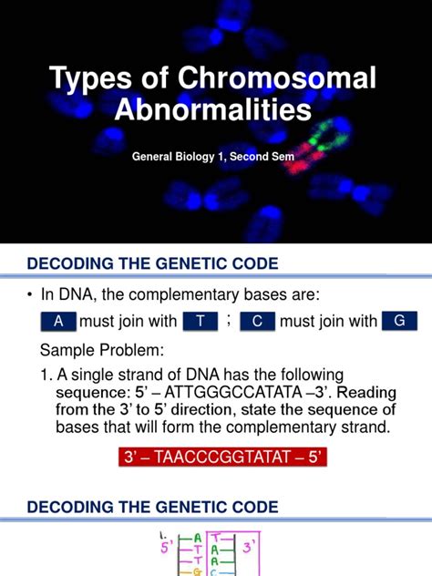 Genetic Code PDF 的图像结果