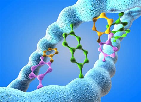 Nitrogenous Bases - Definition and Structures