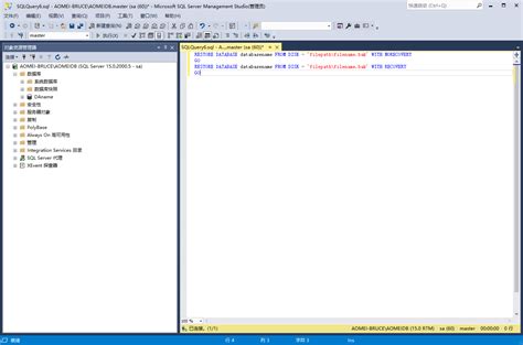 Bak File.SQL 的图像结果