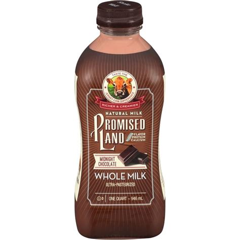 Promise Land Dairy Midnight Chocolate Whole Milk (32 oz) Delivery or ...