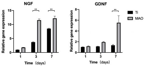 Surface Modification of Titanium by Micro-Arc Oxidation in Promoting ...