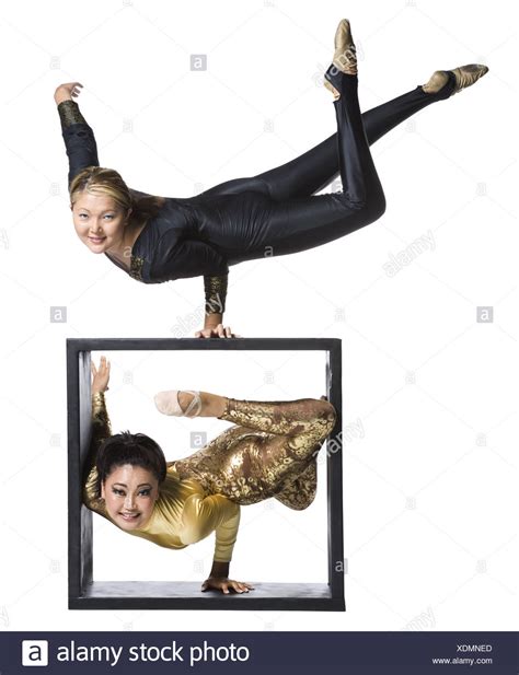Image result for Small Box Contortion