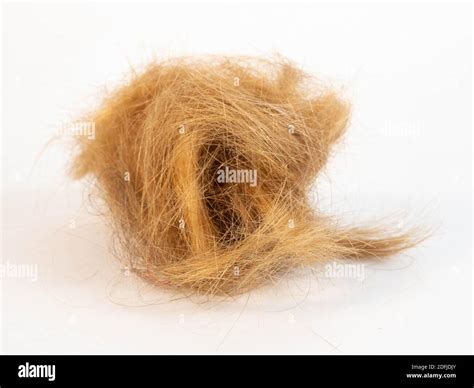 tuft of hair crossword - Captions Casual