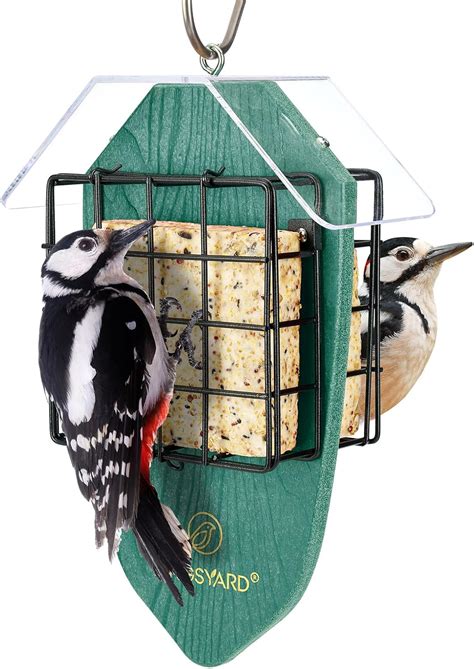 Amazon.com : Kingsyard Double Suet Feeder for Outdoors Hanging ...