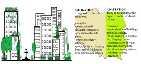 Typology of Climate Change Adaptation Measures in Polish Cities up to 2030