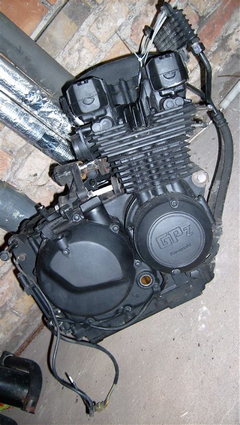 Wunderschöne Bäume kegelförmige Edel Zypressen ca 5m 5m in Oranienburg ...