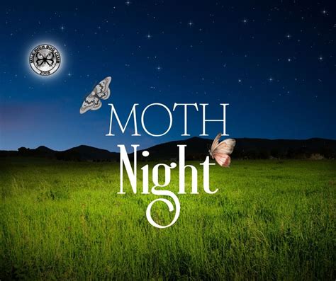 Moth Night with Mile High Bug Club, 410 JL Ranch Hts, Colorado Springs ...