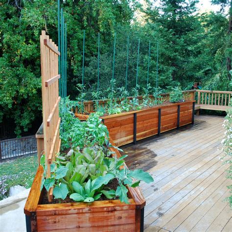 Terrace & Balcony Design Ideas, Inspiration & Images - July 2025 | Houzz IN