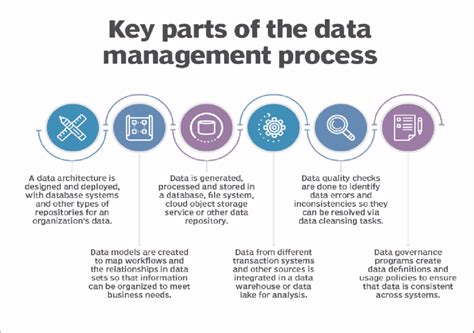 Data Management Process 的图像结果