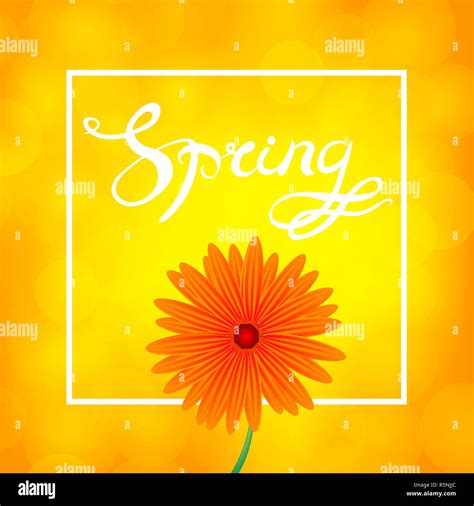 Image result for Spring Dereting
