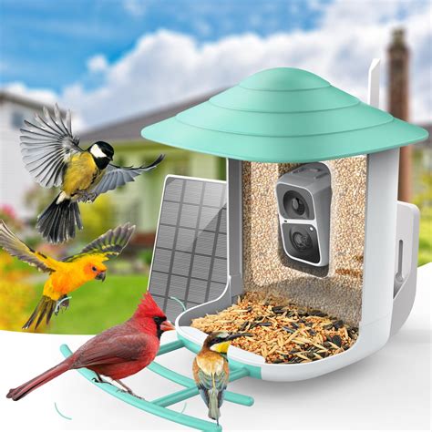 Amazon.com : SOLIOM BF09 Bird Feeder with Camera Wireless Outdoor,Smart ...