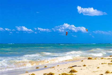 Kite 的图像结果