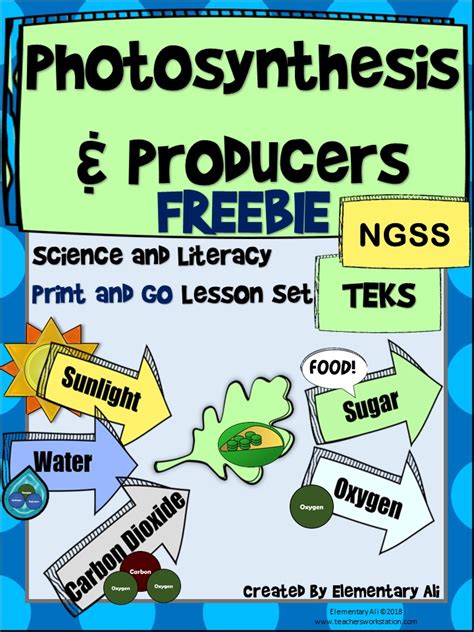 Image result for Home Science Lessons