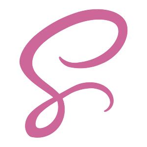 Image result for Scss Logo Icon