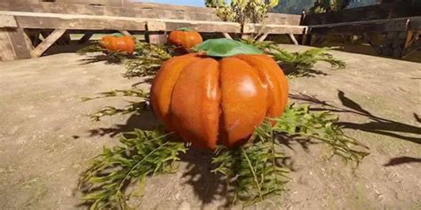 Image result for Rust Food