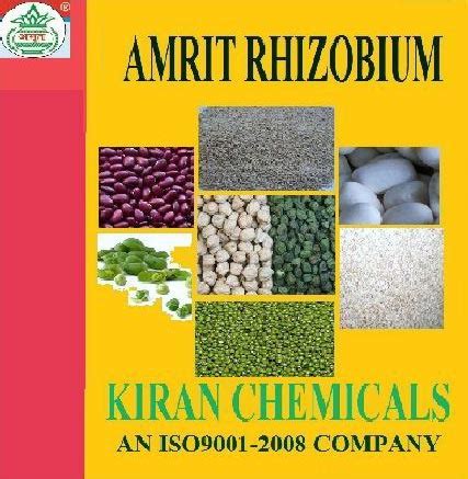 Rhizobium Biofertilizer Manufacturer, Supplier from Lucknow