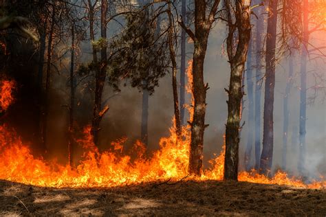 Moon Complex Wildfires Send Heavy Smoke Into Grants Pass as Crews ...