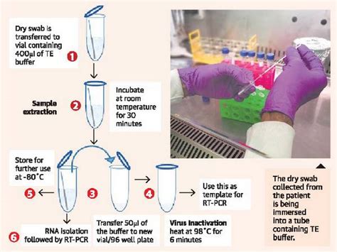 RT-PCR Method 的图像结果