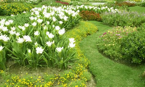 Flower 的图像结果