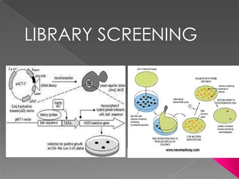Library Screening 的图像结果
